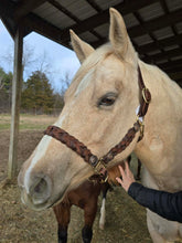 Load image into Gallery viewer, Braided Leather Halter
