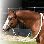 Professionals Choice Rawhide Loping Hack Setup