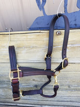 Load image into Gallery viewer, Number 7 1&quot; Track Halter
