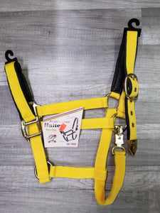 Yearling Padded Halter