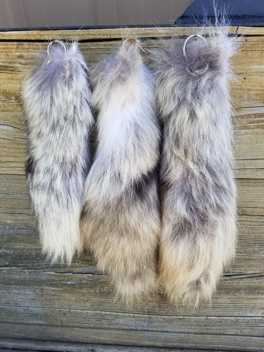 Coyote Tail Shoo Fly
