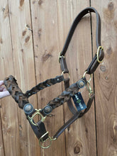 Load image into Gallery viewer, Braided Leather Halter

