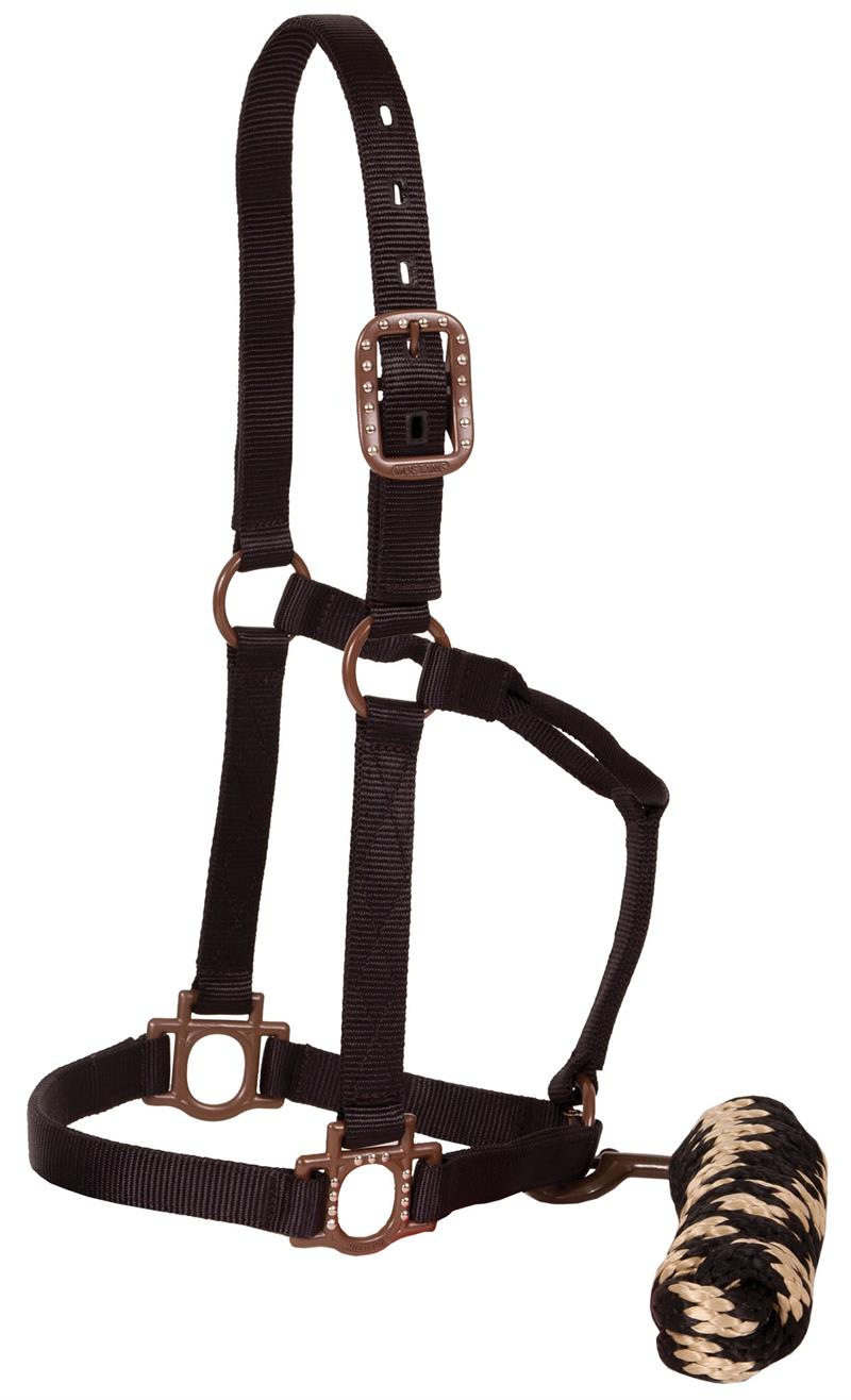 Mustang Antique Dot Halter + Lead