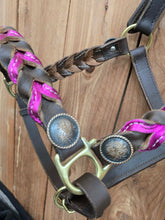 Load image into Gallery viewer, Braided Leather Halter with Conchos
