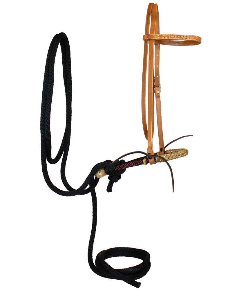 Leather + Rawhide Bosal Breaking Bridle