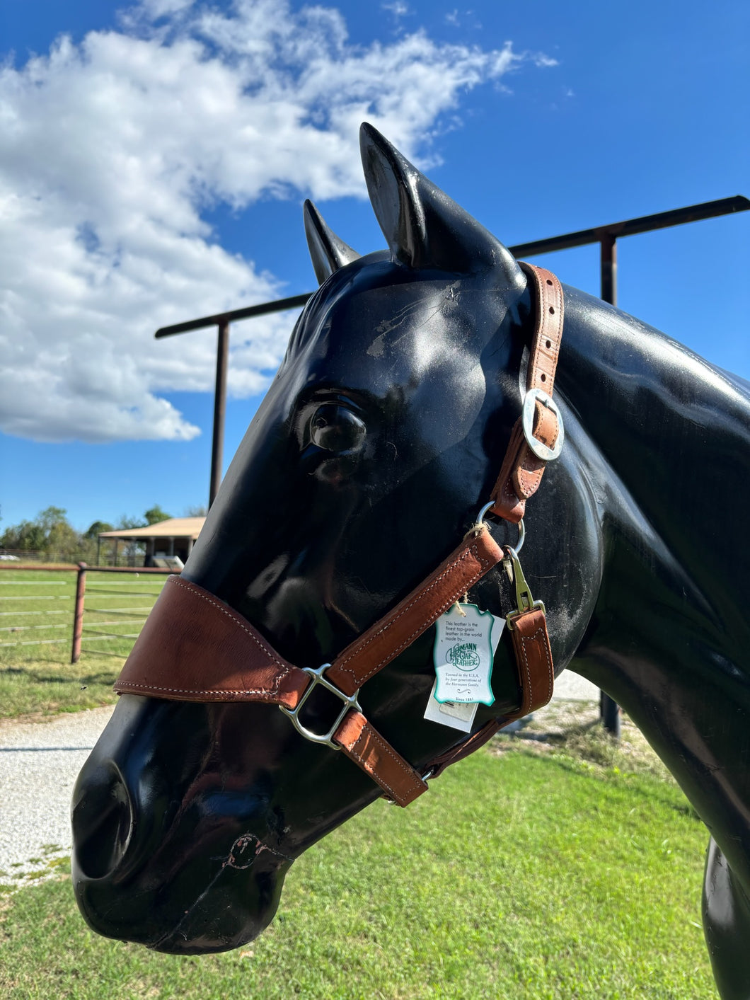 Martin Leather Bronc Halter