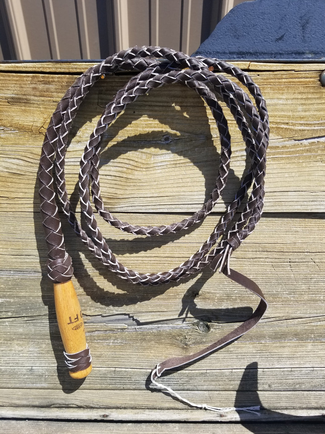 10' Bullwhip